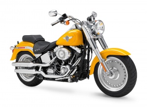 Harley Davidson do Brasil