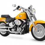 Harley Davidson do Brasil