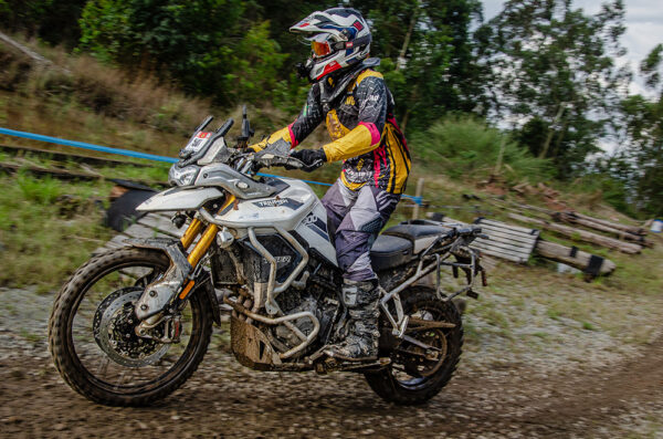 Big Trail BITES