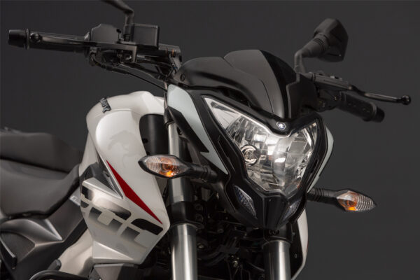 Bajaj Dominar 200 1