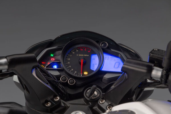 Bajaj Dominar 200 painel