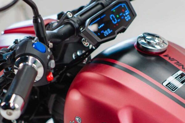 Shineray Titanium 250 2025 3