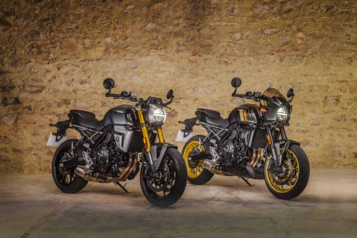 Suzuki-GSX-8T-e-GSX-8TT-