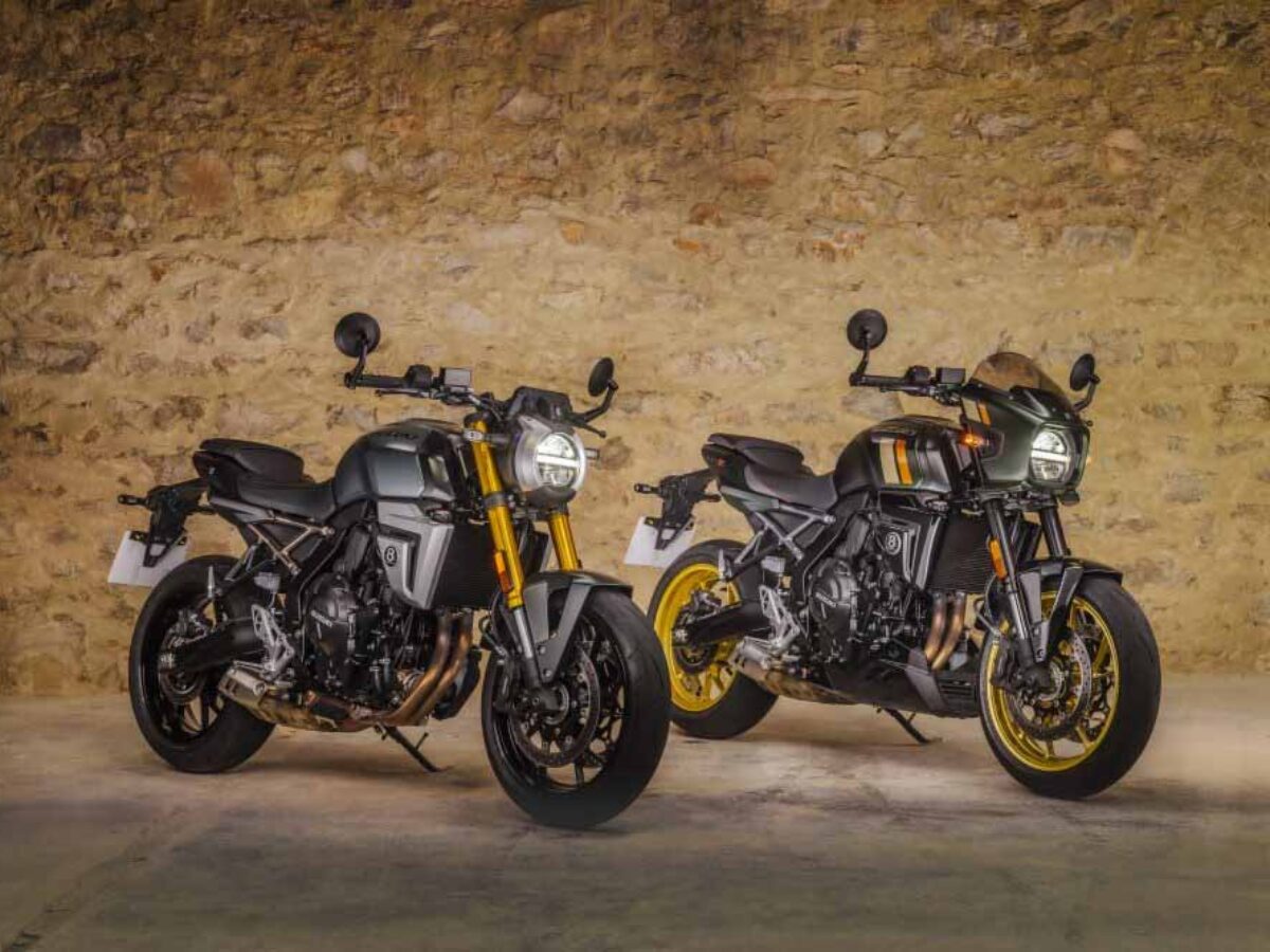 Suzuki-GSX-8T-e-GSX-8TT-